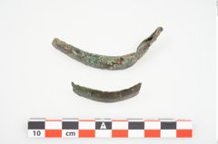 Foto von Bronzeschaukelfußreif (NHMW-PRAE-025995)